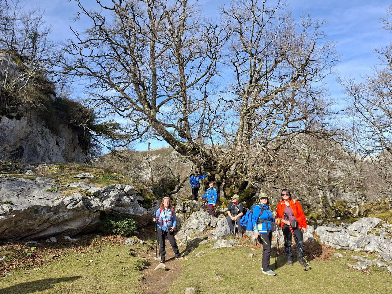 WhatsApp Image 2026-02-23 at 18.19.03 (1)